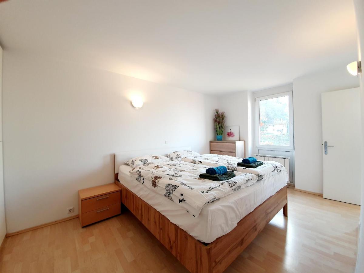 Bossa Nova Castle&Outstanding Home With Garage Ljubljana Exteriör bild
