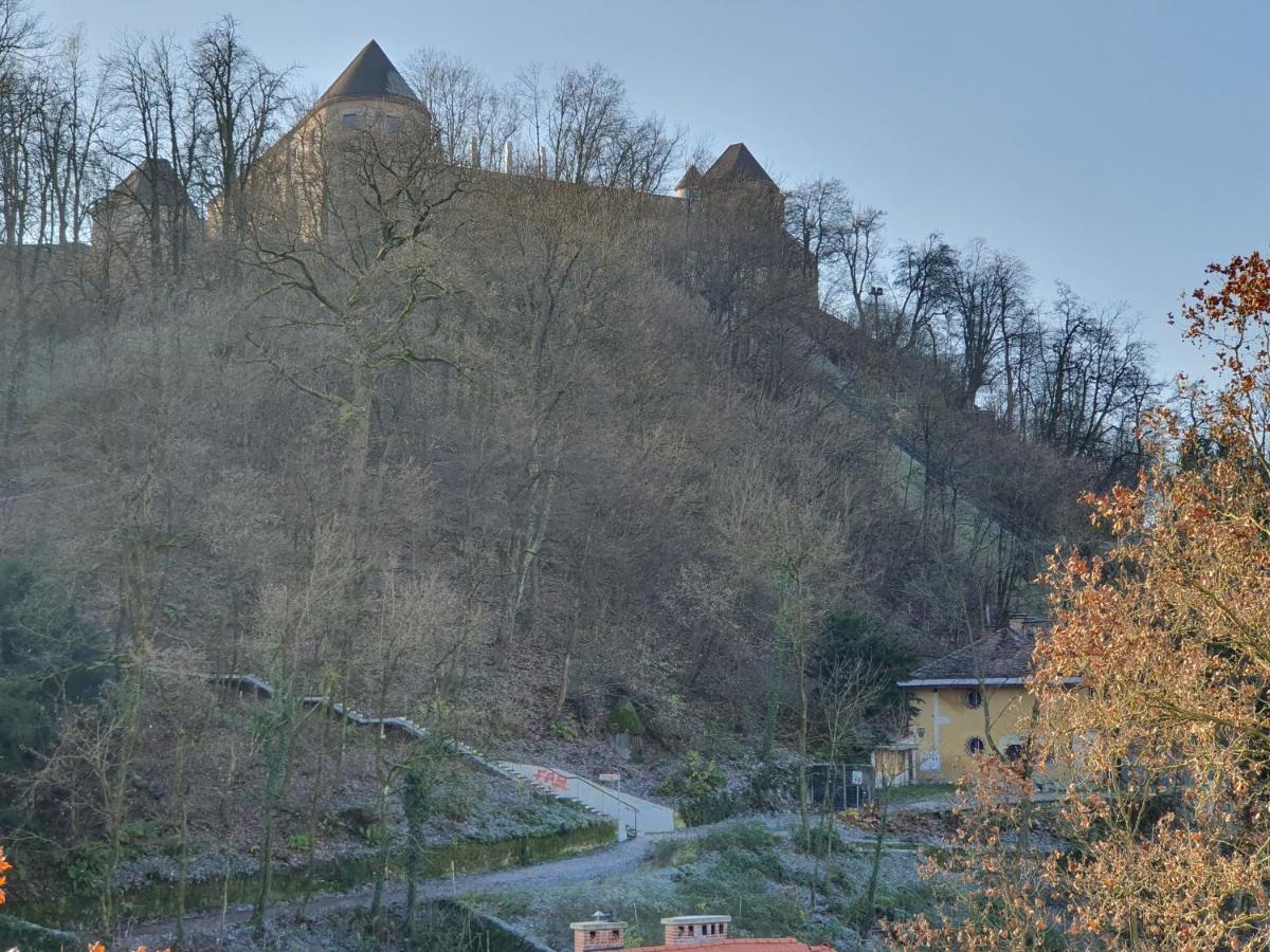 Bossa Nova Castle&Outstanding Home With Garage Ljubljana Exteriör bild